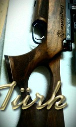 11-FE3E2ECA-1344725-800