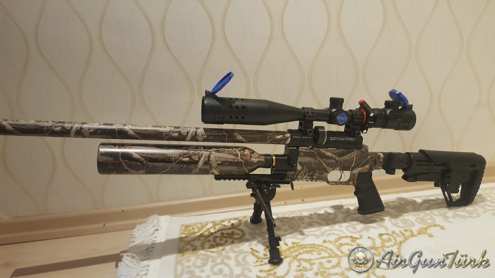 WhatsApp Image 2022-09-04 at 16.16.47