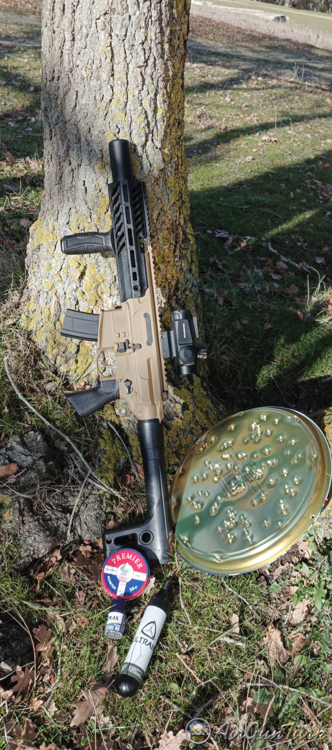 Sig Sauer MCX Canebrake