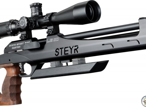 Steyr HFT Hunting "2014" Teil2