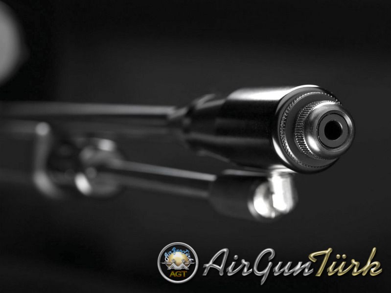 FXairguns Revolution