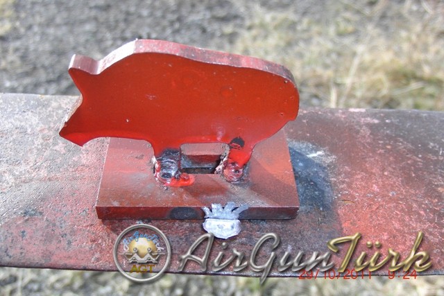 Ankara Team 29 Ekim 2011 Cumhuriyet Bayramı Kutlaması ve Silüet Hedef Yarışması