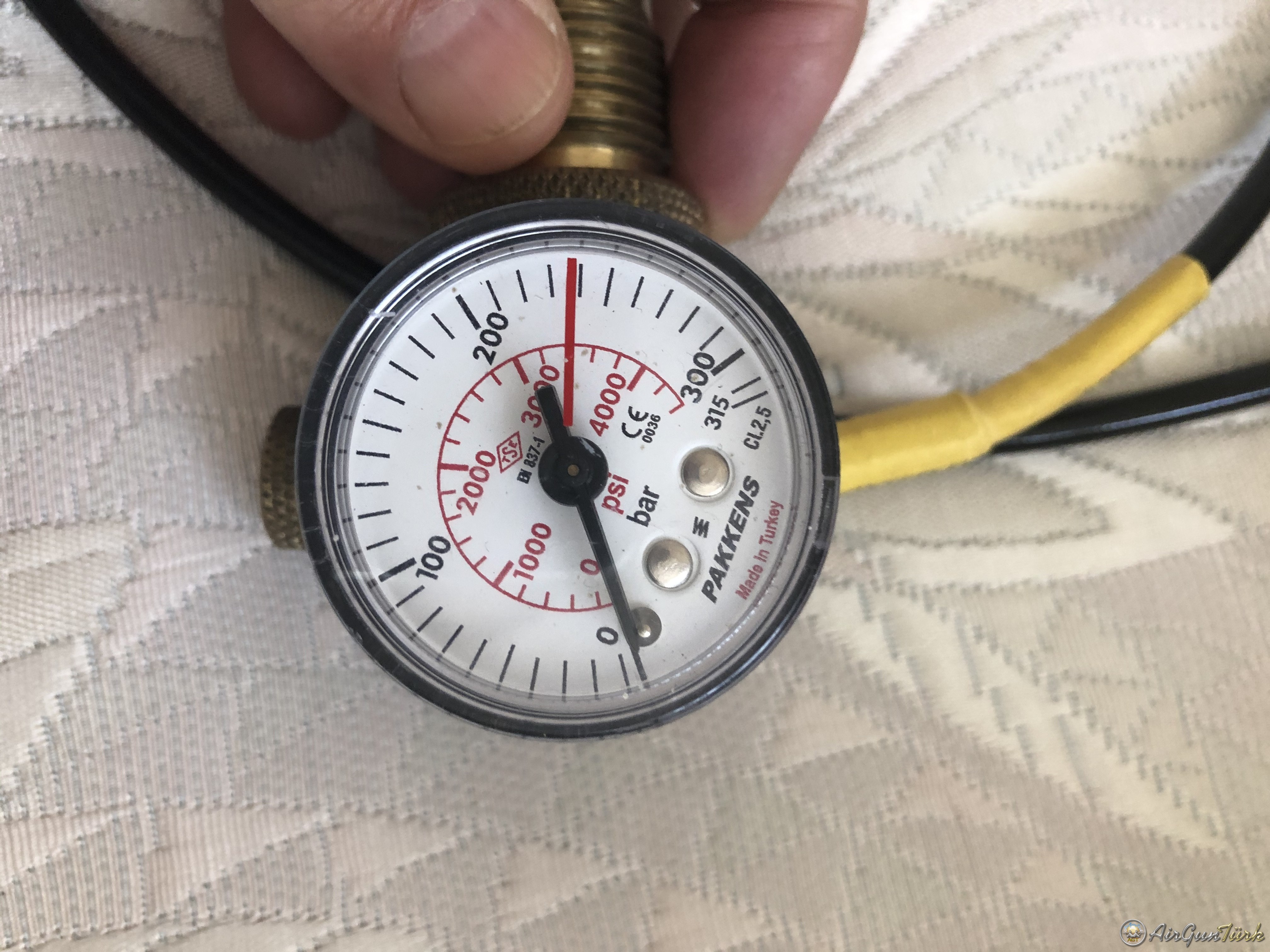 D1A8EE11-3840-4802-AA51-C8CC0EB63EAE