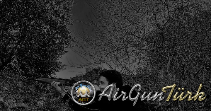 29780_124471700920320_100000724711793_181925_8087979_n