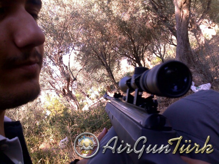 36803_139328522767971_100000724711793_252031_4604726_n