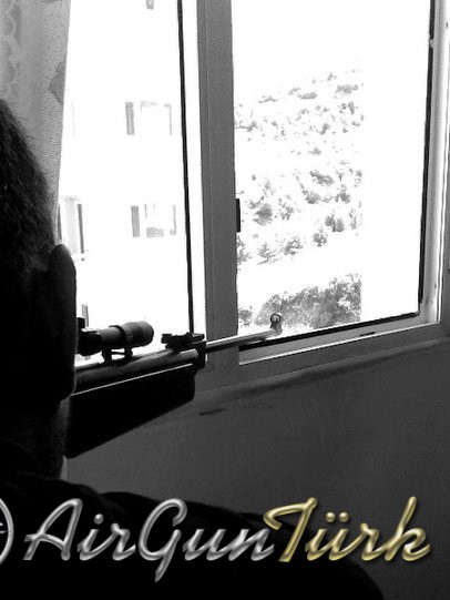 37876_135928603107963_100000724711793_234942_3198126_n