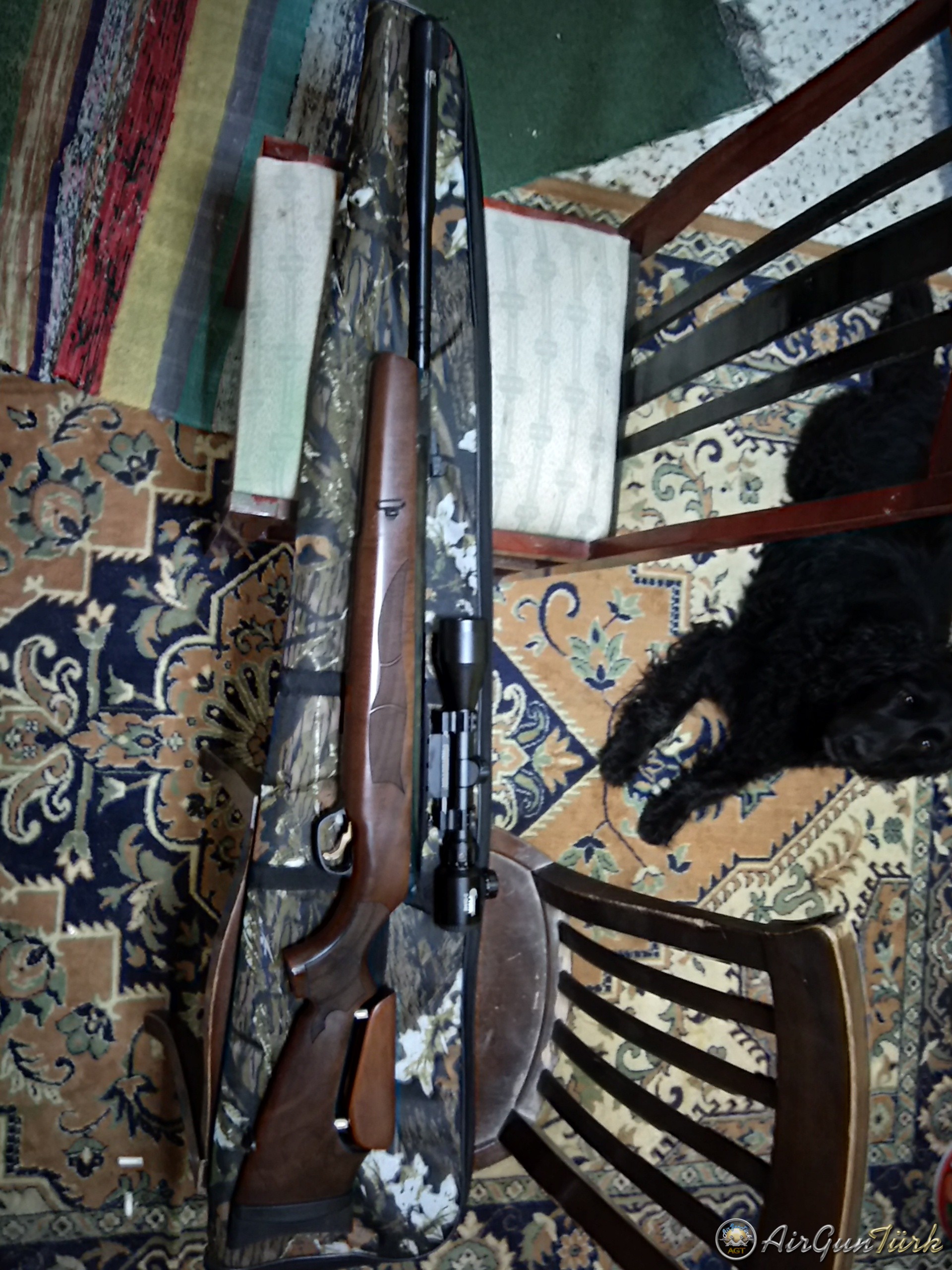 Hatsan mod135qe wortex