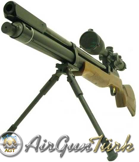 carreer dragon slayer 50cal.