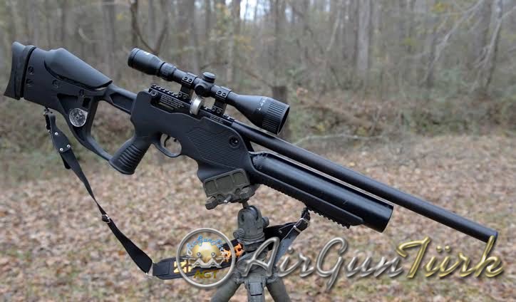 11C58668-93FC-4A9B-A313-DCA12B117C3A