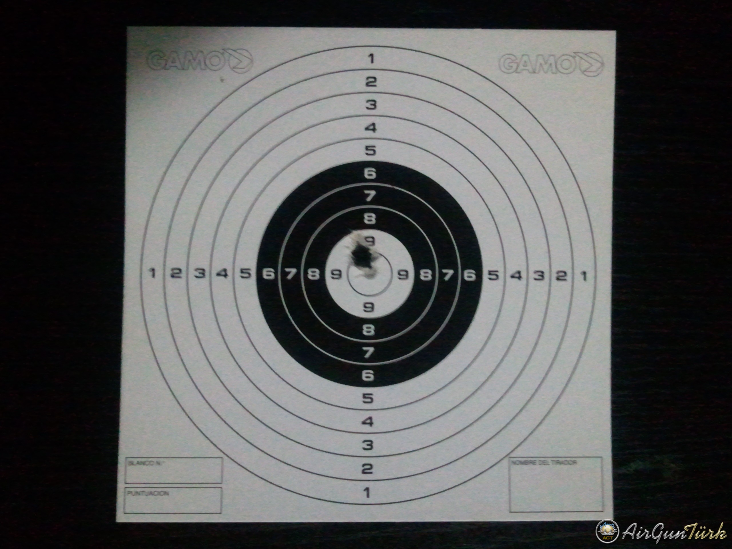 stoeger x20 5.5 Nikko Stirling Gameking 4-16x50 AO gamo promagnum 15 metre grupman
