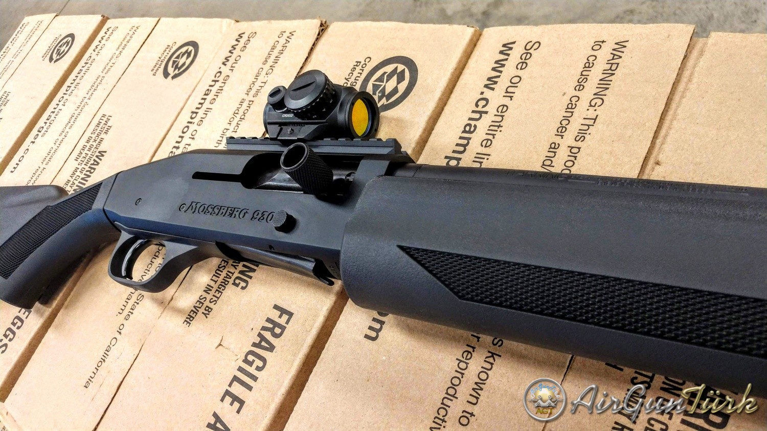 IMG_20180822_185008495