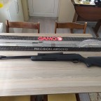Gamo cfx