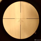 7AFA7002-A754-413C-841E-B3A18EB3FF7C