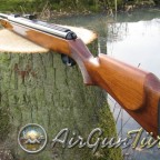 Diana 300 R Şema ve Ayrıntıları