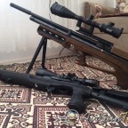 At44 Bullpup Long QE RG