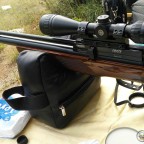 Bir gamo coyote hikayesi