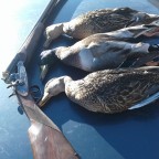 2017-2018 av sezonunda ördek avımdan kareler..