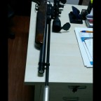 Bir gamo coyote hikayesi