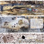 Kurukafa üstünde 5,5mm pellet test Mod 87 QE