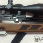 Pro-Maxi Kardeşliği