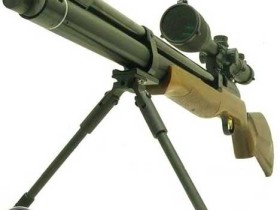 carreer dragon slayer 50cal.