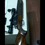 Bir gamo coyote hikayesi