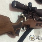 Pro-Maxi Kardeşliği