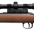 Diana 350 Magnum Şema ve Ayrıntıları