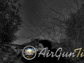 29780_124471700920320_100000724711793_181925_8087979_n