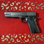Ekol ES1911