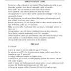 BSA SuperSport Şema ve Ayrıntıları