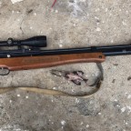 549EC89C-56CD-45FD-81B9-AA270D3371BD