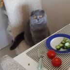 Açım Ben AAAAççç