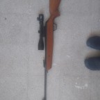 Hatsan mod 99 Limited edition