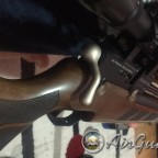 Pro-Maxi Kardeşliği