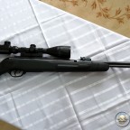 gamo cfx 5.5
