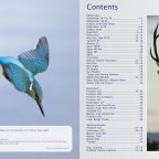 Hawke Global Katalog