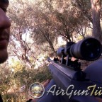 36803_139328522767971_100000724711793_252031_4604726_n