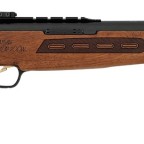 Dominator-200W-Carbine