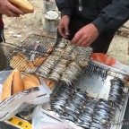 05.11.2017 ATIŞ BULUŞMASI