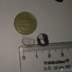 Modifiyeli Hatsan Alfamax 5.5 25m grupmanı