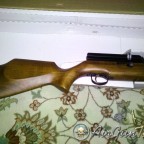 webley1